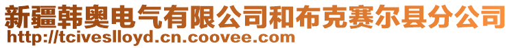 新疆韓奧電氣有限公司和布克賽爾縣分公司