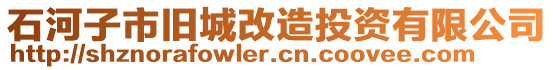 石河子市舊城改造投資有限公司