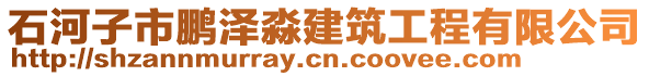 石河子市鵬澤淼建筑工程有限公司