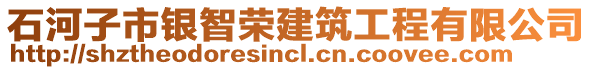 石河子市銀智榮建筑工程有限公司