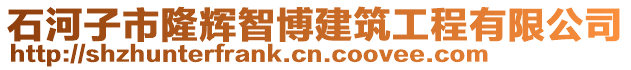 石河子市隆輝智博建筑工程有限公司