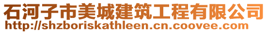 石河子市美城建筑工程有限公司