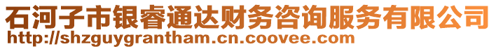 石河子市銀睿通達財務(wù)咨詢服務(wù)有限公司