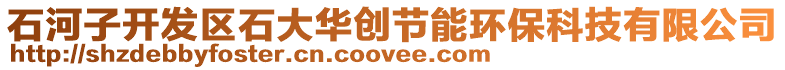 石河子開發(fā)區(qū)石大華創(chuàng)節(jié)能環(huán)?？萍加邢薰? style=