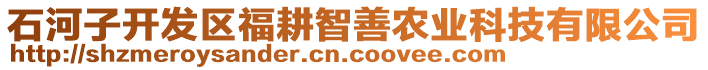 石河子開發(fā)區(qū)福耕智善農(nóng)業(yè)科技有限公司