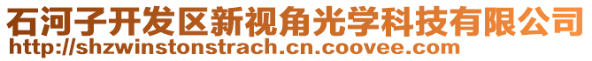 石河子開發(fā)區(qū)新視角光學科技有限公司