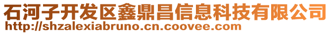 石河子開發(fā)區(qū)鑫鼎昌信息科技有限公司