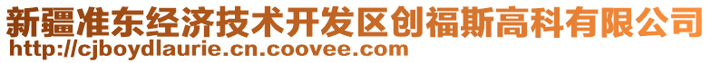 新疆準(zhǔn)東經(jīng)濟技術(shù)開發(fā)區(qū)創(chuàng)福斯高科有限公司