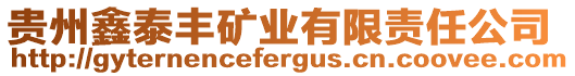 貴州鑫泰豐礦業(yè)有限責(zé)任公司