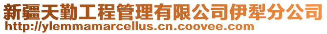 新疆天勤工程管理有限公司伊犁分公司