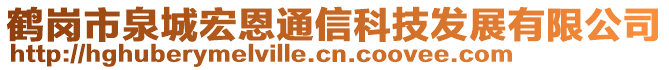 鶴崗市泉城宏恩通信科技發(fā)展有限公司