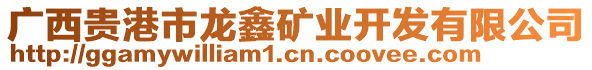 廣西貴港市龍鑫礦業(yè)開發(fā)有限公司