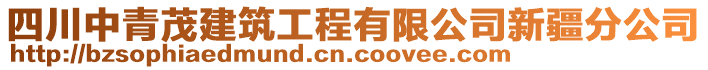 四川中青茂建筑工程有限公司新疆分公司