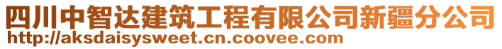 四川中智達建筑工程有限公司新疆分公司