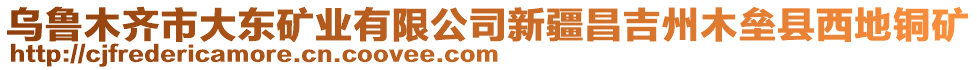 烏魯木齊市大東礦業(yè)有限公司新疆昌吉州木壘縣西地銅礦