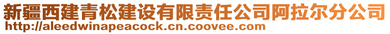 新疆西建青松建設有限責任公司阿拉爾分公司