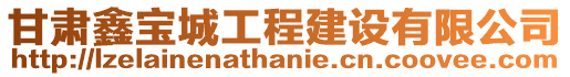 甘肅鑫寶城工程建設(shè)有限公司