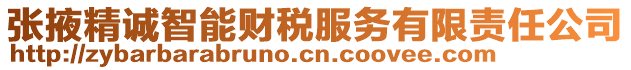 張掖精誠智能財稅服務(wù)有限責(zé)任公司