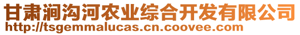 甘肅澗溝河農(nóng)業(yè)綜合開(kāi)發(fā)有限公司