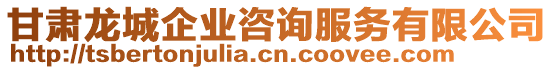 甘肅龍城企業(yè)咨詢服務有限公司