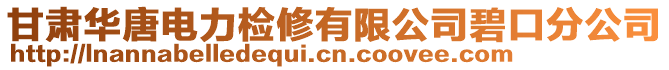 甘肅華唐電力檢修有限公司碧口分公司