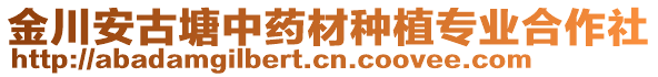 金川安古塘中藥材種植專業(yè)合作社