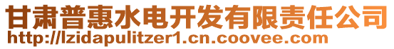 甘肅普惠水電開發(fā)有限責(zé)任公司