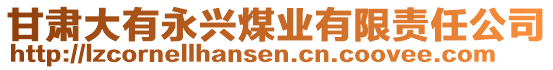 甘肅大有永興煤業(yè)有限責任公司