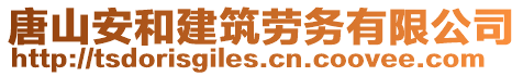 唐山安和建筑勞務(wù)有限公司