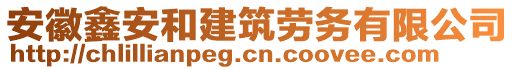 安徽鑫安和建筑勞務(wù)有限公司