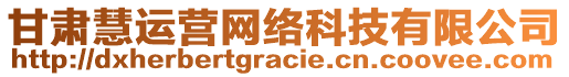 甘肅慧運(yùn)營網(wǎng)絡(luò)科技有限公司