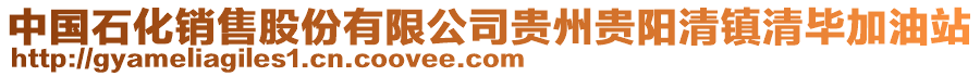 中國(guó)石化銷售股份有限公司貴州貴陽(yáng)清鎮(zhèn)清畢加油站