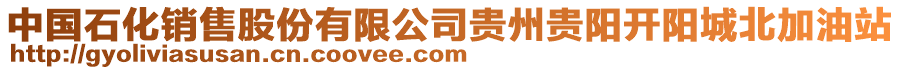 中國(guó)石化銷售股份有限公司貴州貴陽(yáng)開陽(yáng)城北加油站