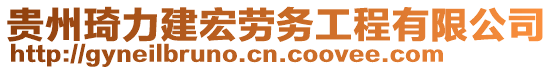 貴州琦力建宏勞務(wù)工程有限公司