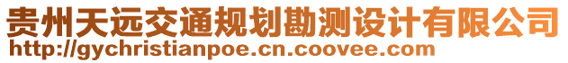 貴州天遠(yuǎn)交通規(guī)劃勘測設(shè)計(jì)有限公司