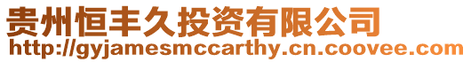 貴州恒豐久投資有限公司
