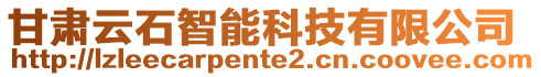 甘肅云石智能科技有限公司