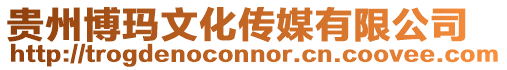 貴州博瑪文化傳媒有限公司