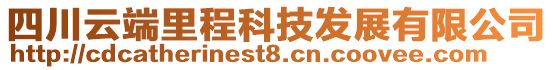 四川云端里程科技發(fā)展有限公司