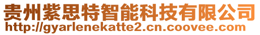 貴州紫思特智能科技有限公司