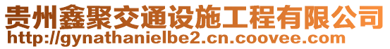 貴州鑫聚交通設施工程有限公司