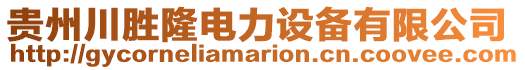 貴州川勝隆電力設(shè)備有限公司