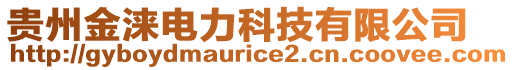 貴州金淶電力科技有限公司