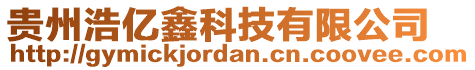 貴州浩億鑫科技有限公司