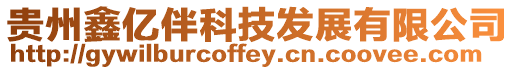 貴州鑫億伴科技發(fā)展有限公司