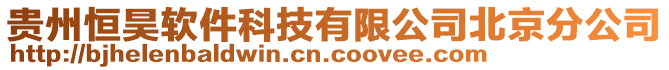貴州恒昊軟件科技有限公司北京分公司