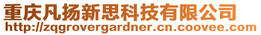 重慶凡揚(yáng)新思科技有限公司