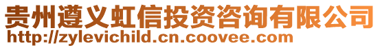 貴州遵義虹信投資咨詢有限公司