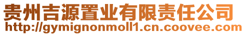 貴州吉源置業(yè)有限責(zé)任公司