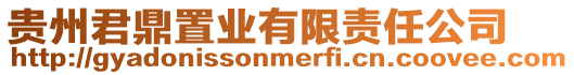 貴州君鼎置業有限責任公司